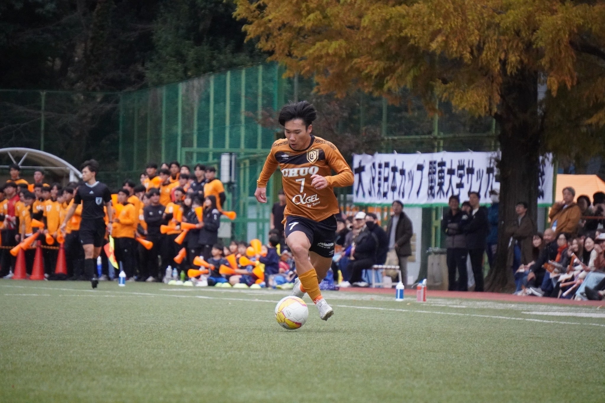 YOKO IESAKA / 家坂 葉光 | BMZ【公式】