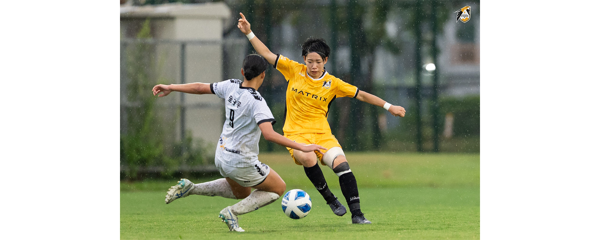 WAKABAYASHI MINORI / 若林 美里 | BMZ【公式】