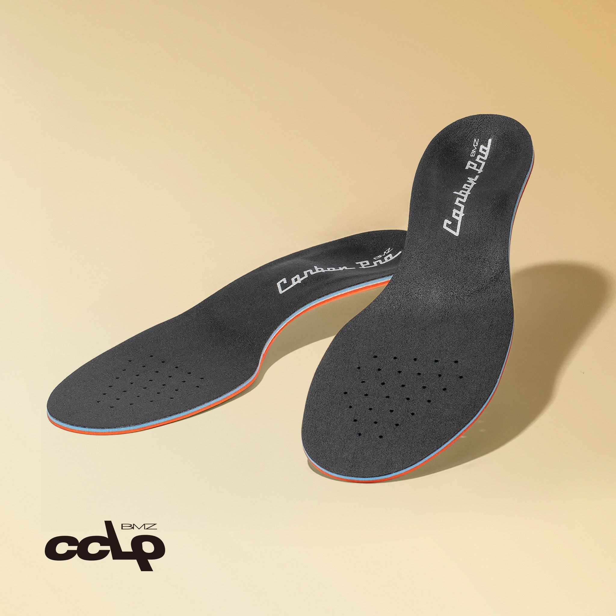 カルパワーカーボンプロ6