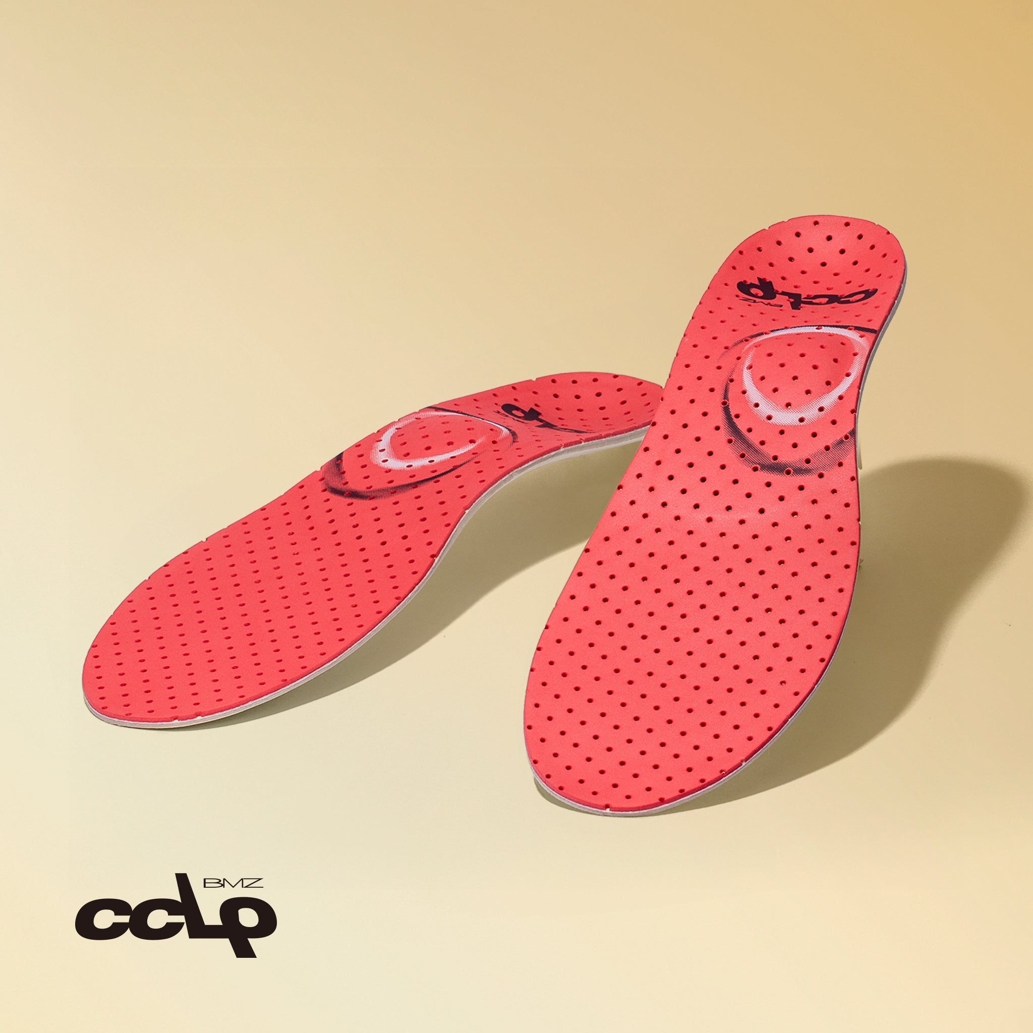 カルパワースキー カーボン3