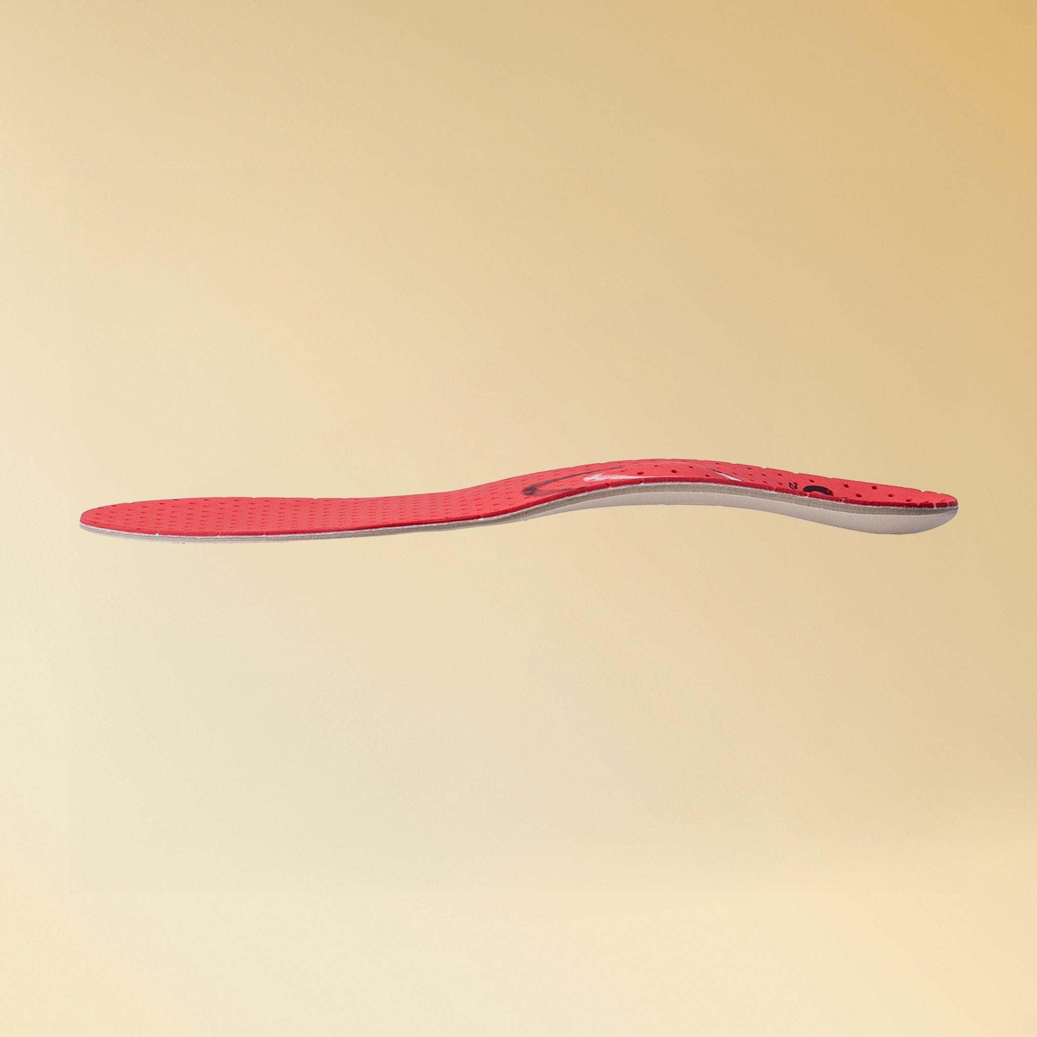 カルパワースキー カーボン3