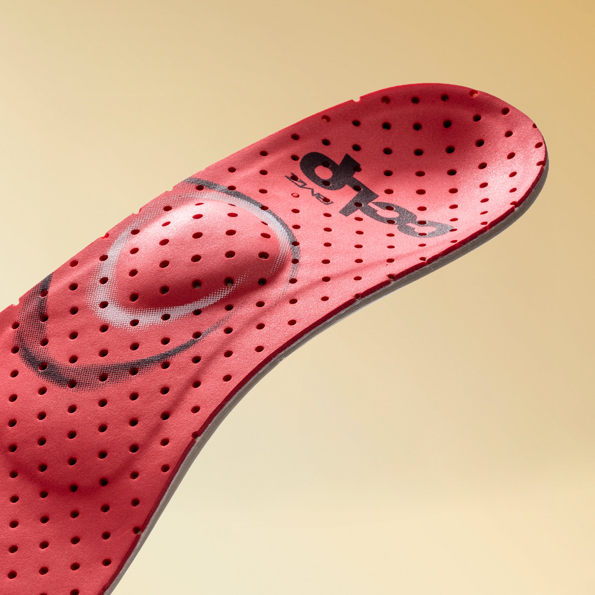 カルパワースキー カーボン3