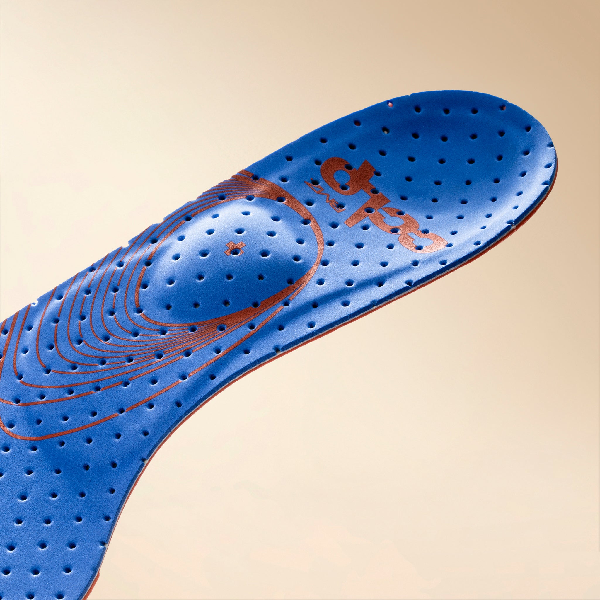 カルパワースマートスノー