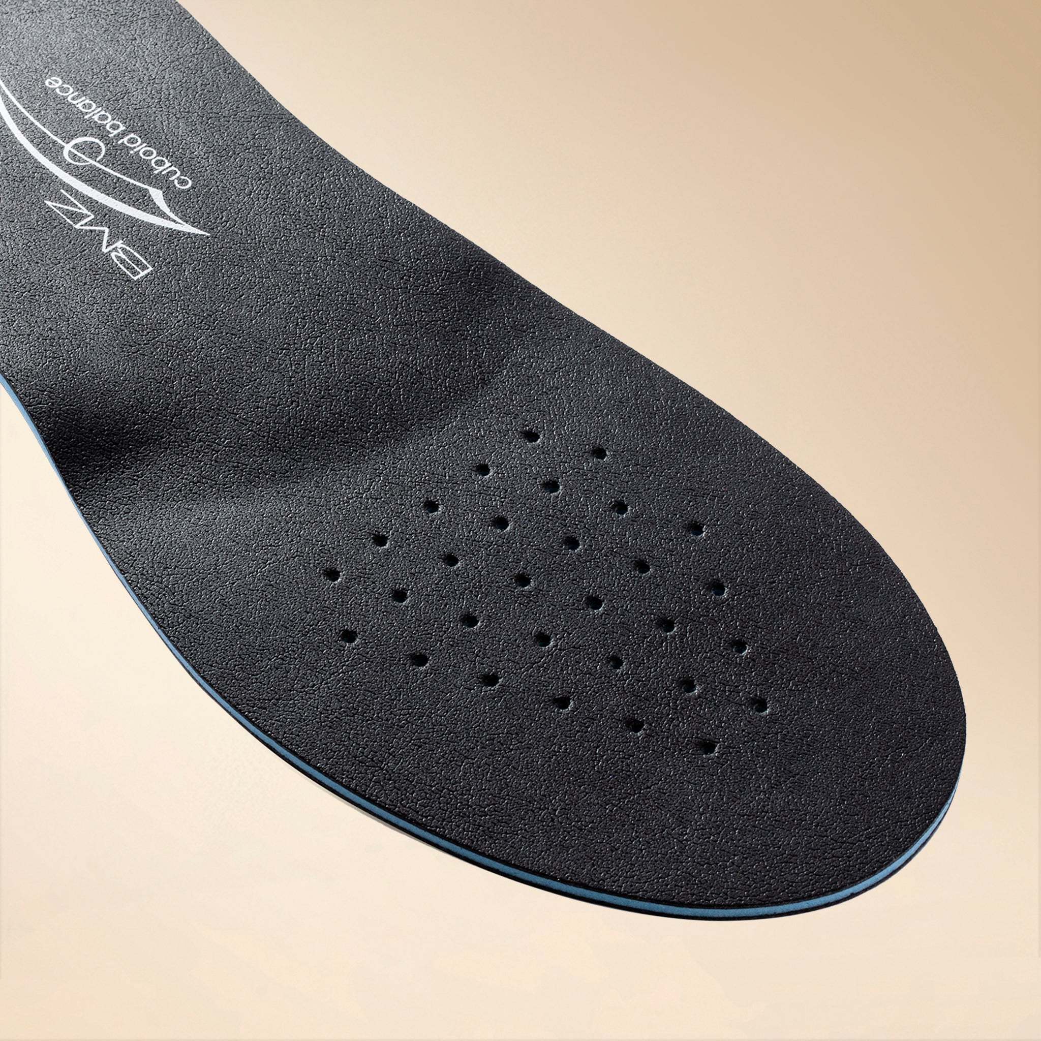 コンプリートスポーツ2