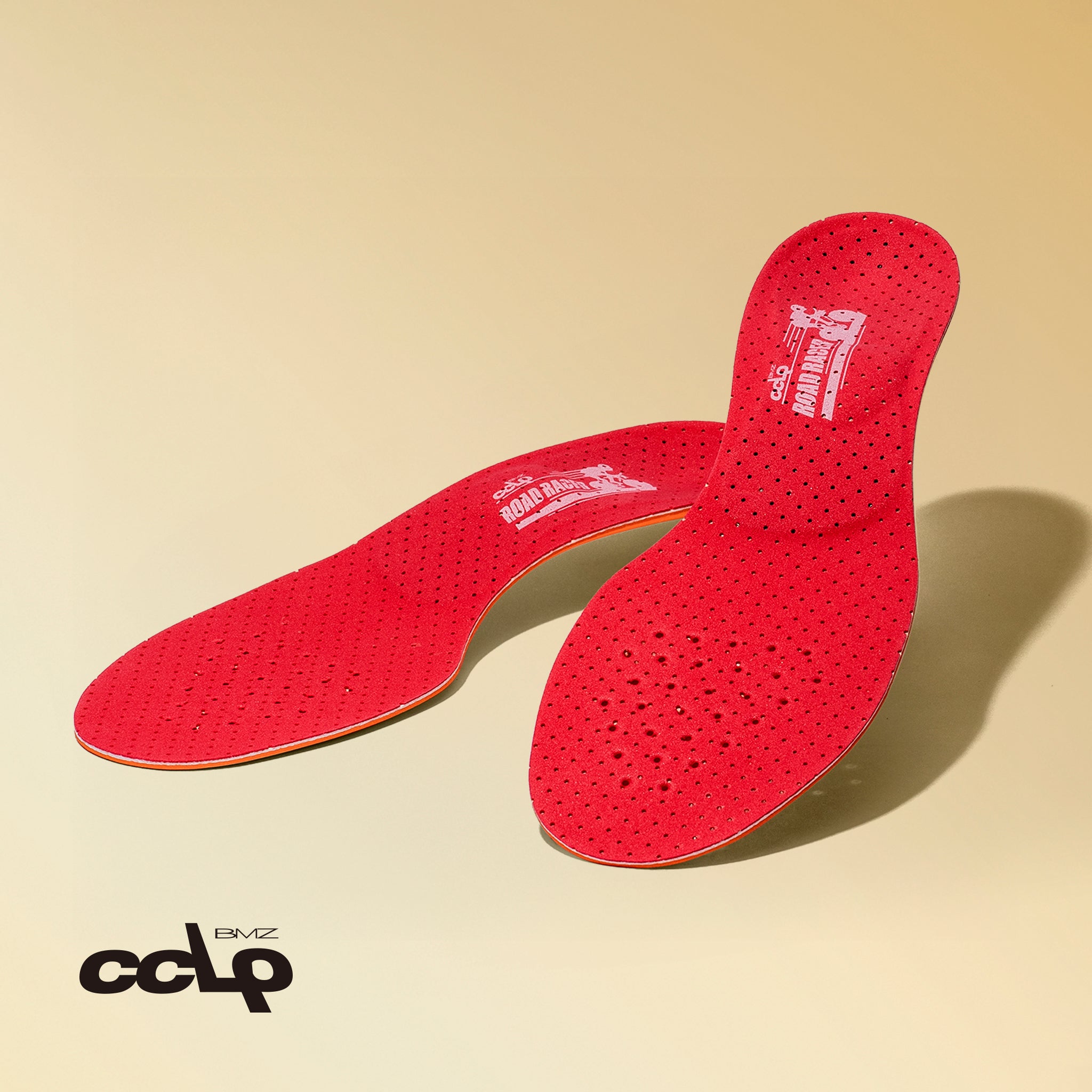 CCLPロードレーサープロ6