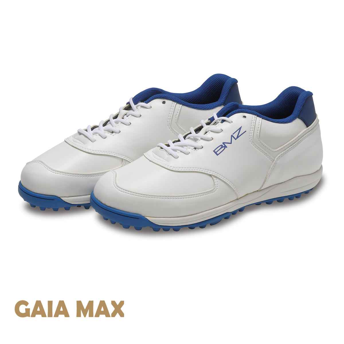 GAIA MAX LITE 白×青 俯瞰
