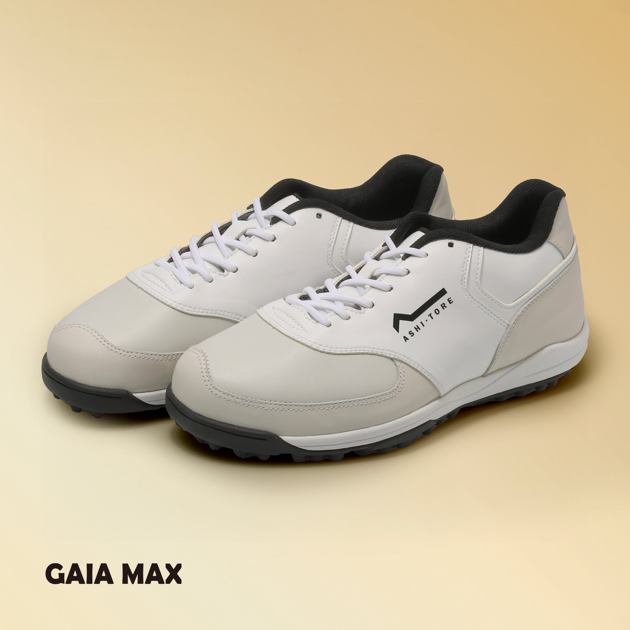 GAIA MAX PRO セミオーダー