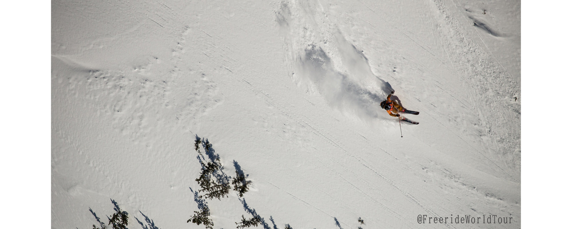 ONOZUKA AYANA / 小野塚 彩那