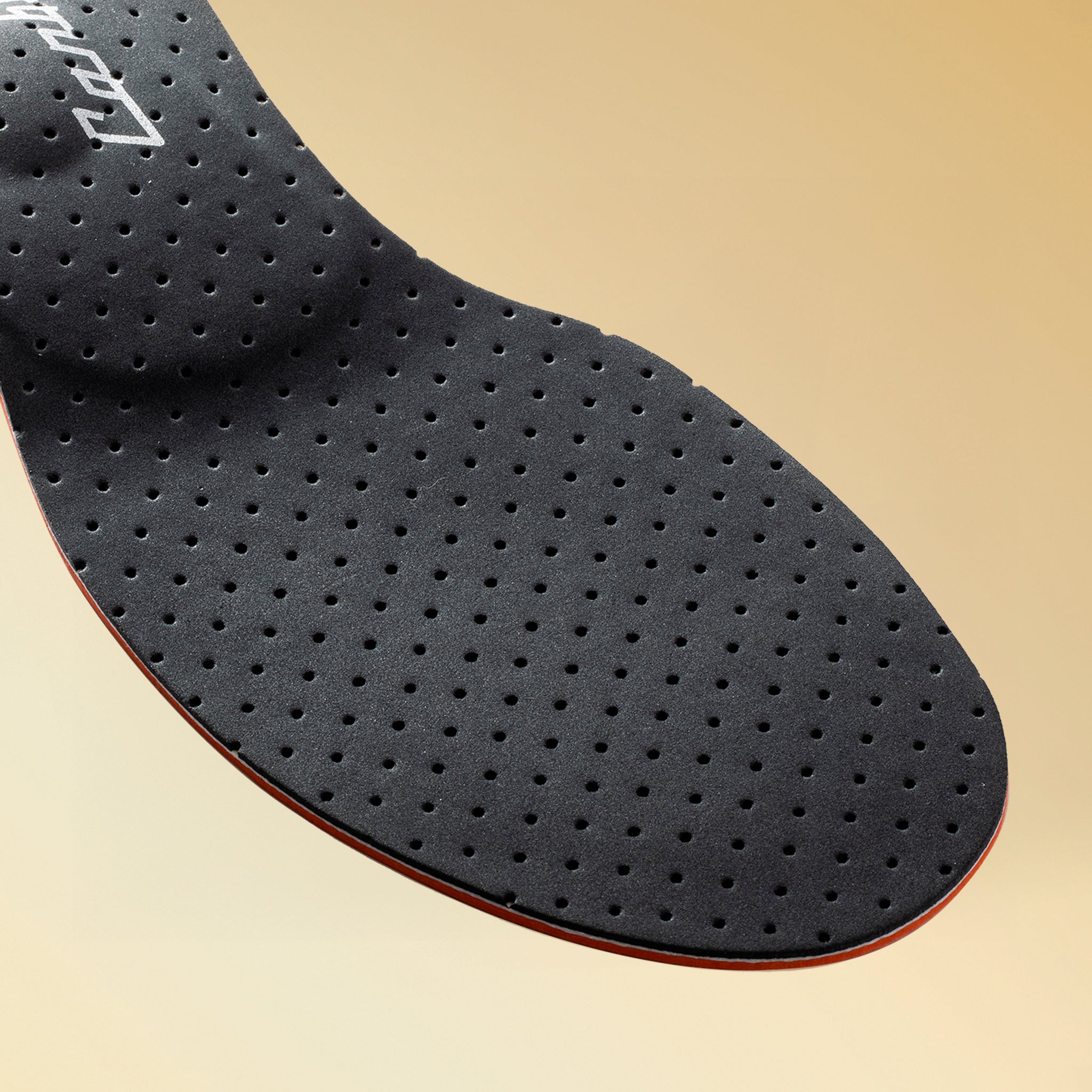 カーボンプロスノー50 C-6