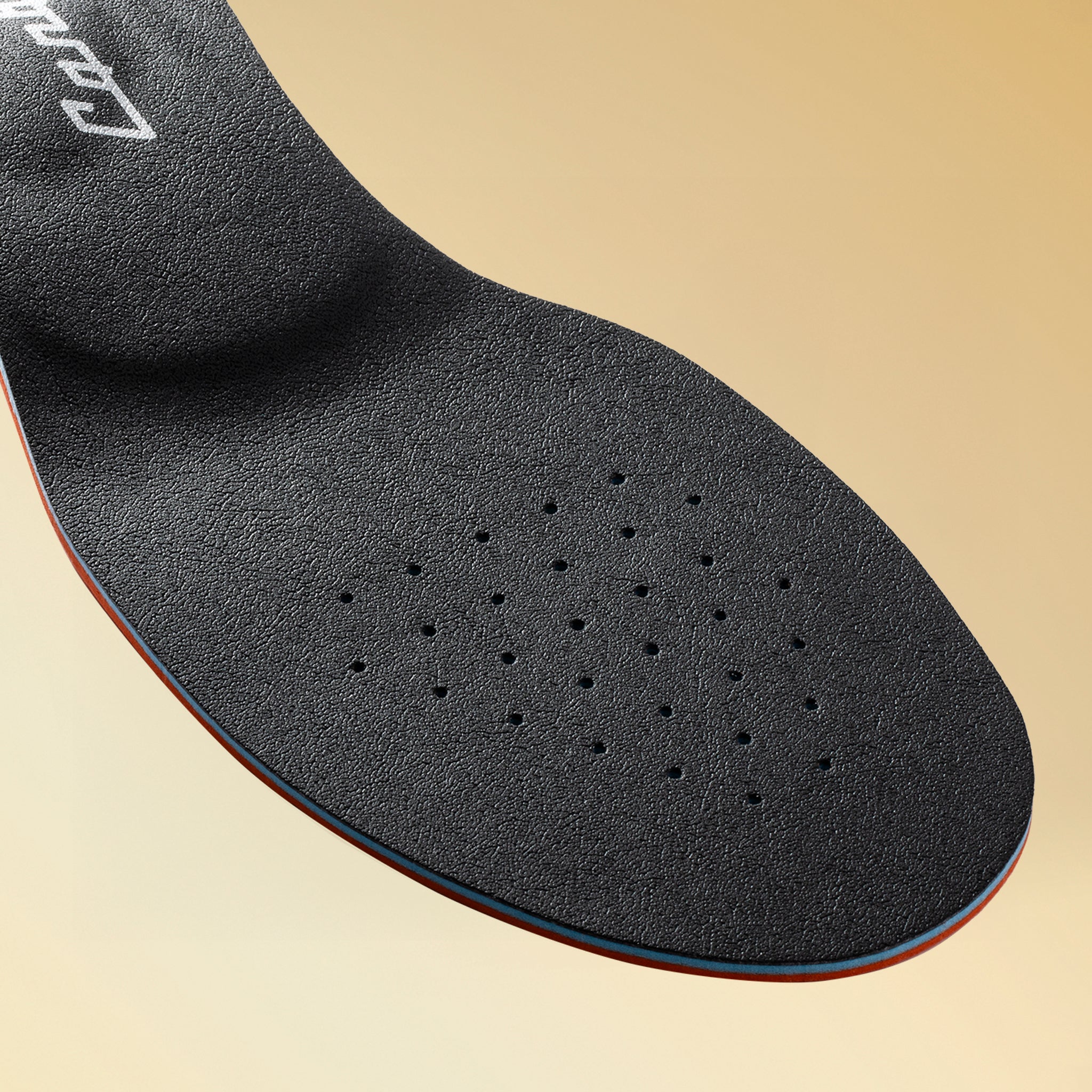 カルパワーカーボンプロ6