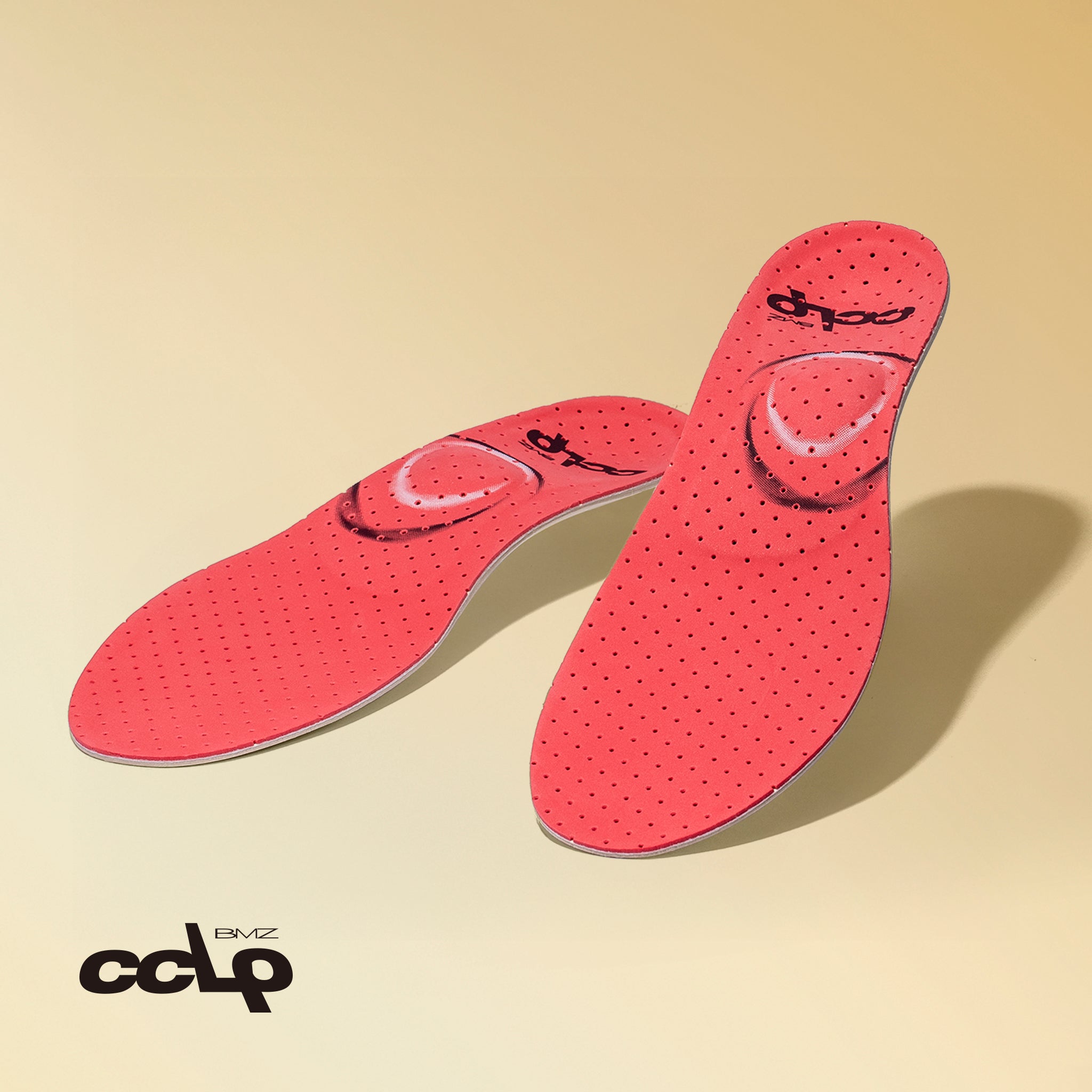 カルパワースキー カーボン6