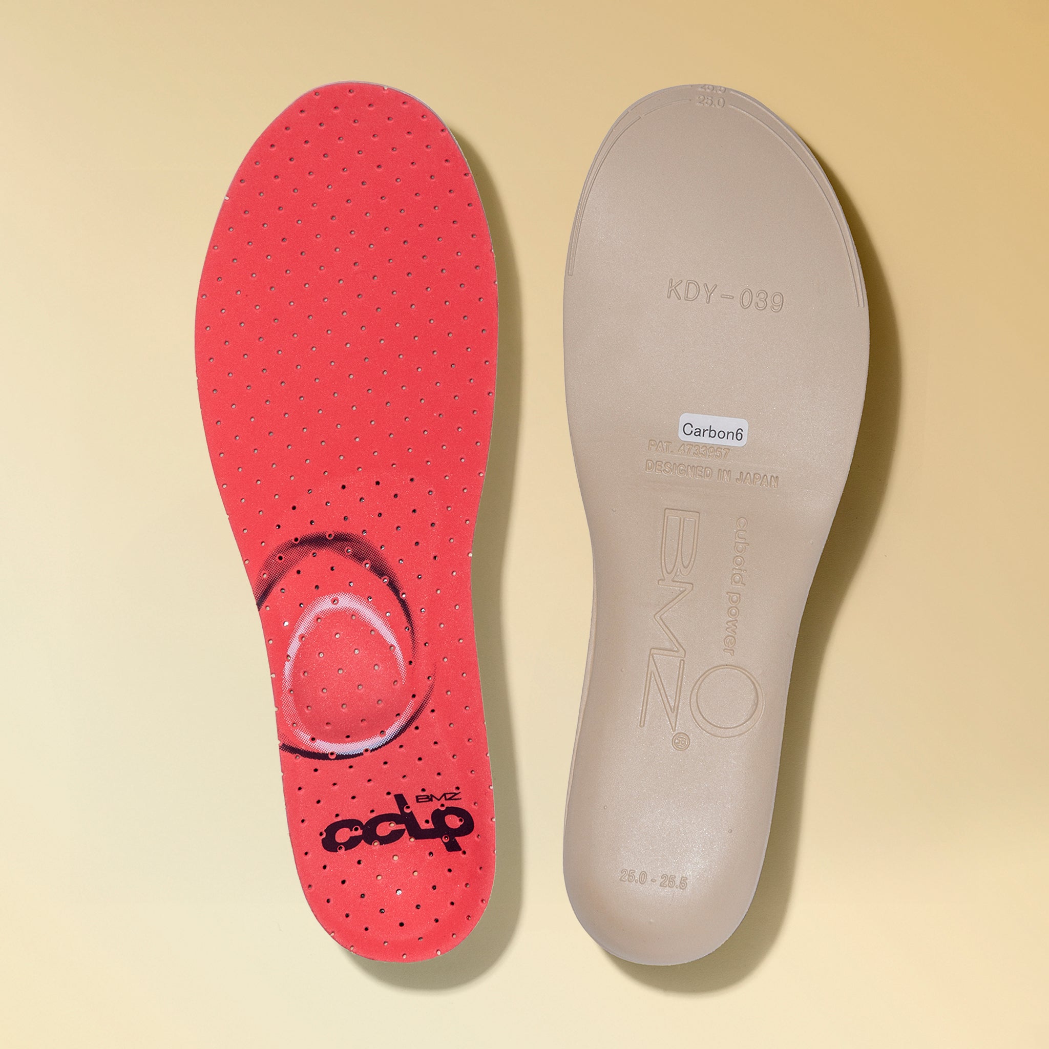 カルパワースキー カーボン６