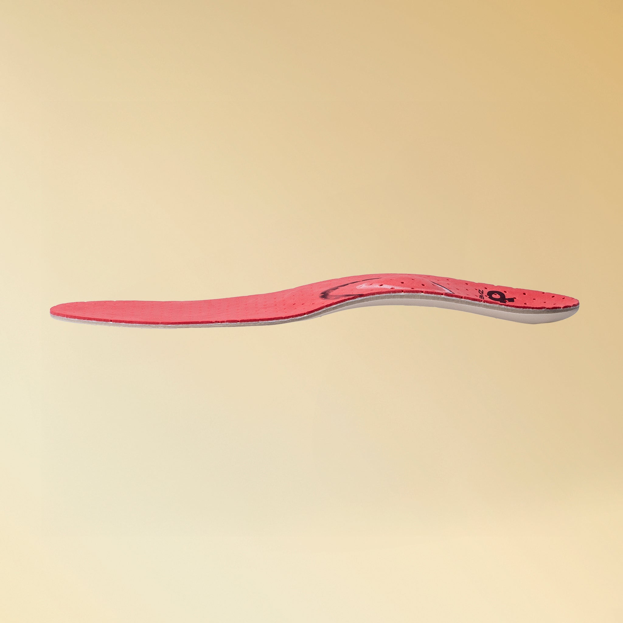 カルパワースキー カーボン６