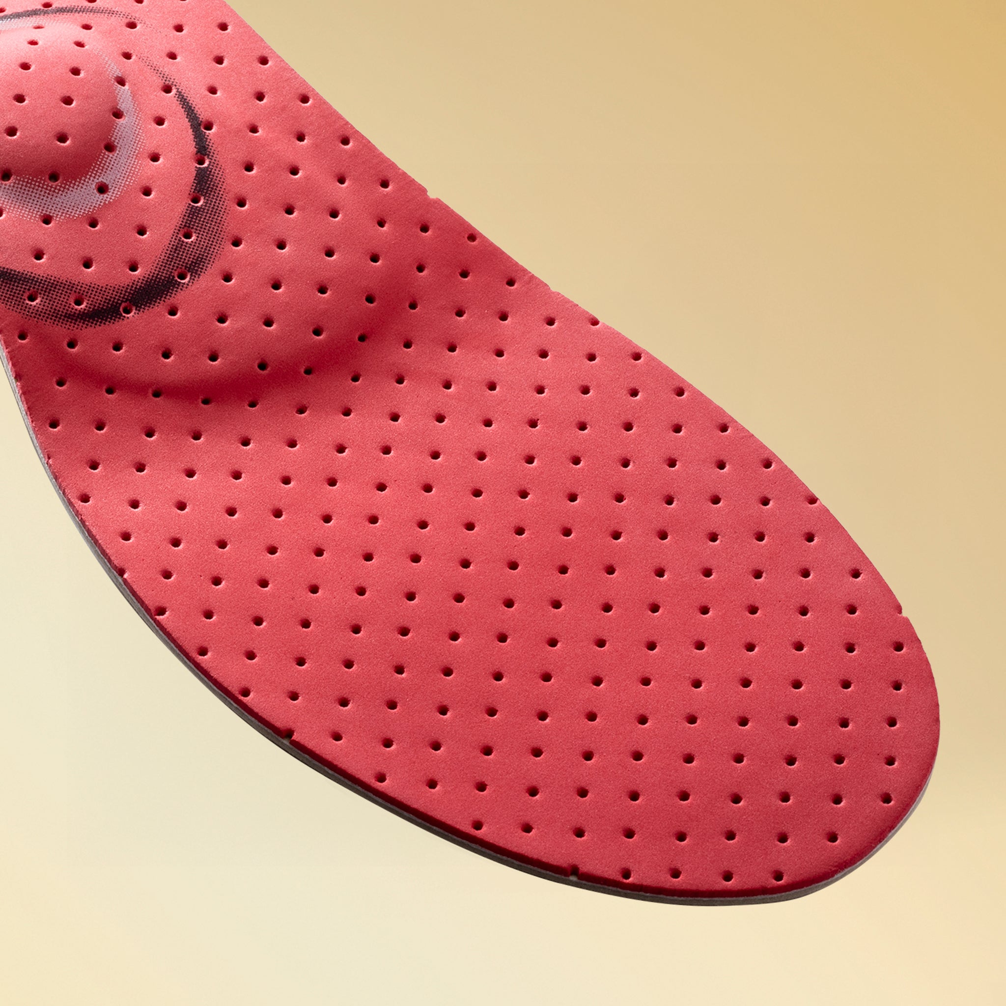 カルパワースキー カーボン６