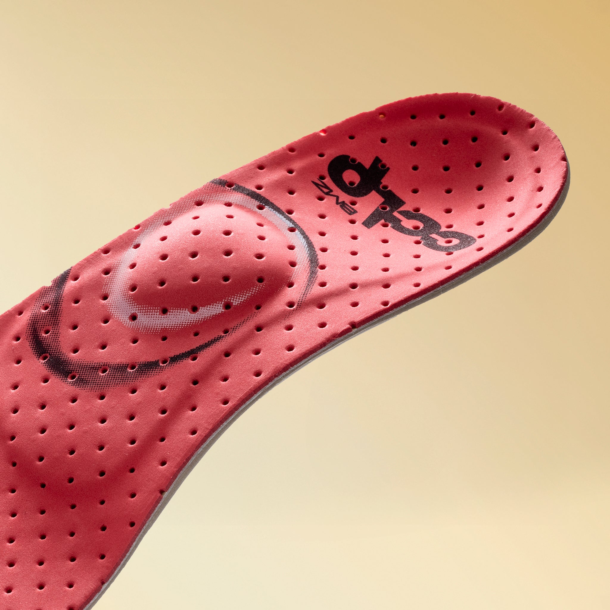 カルパワースキー カーボン６