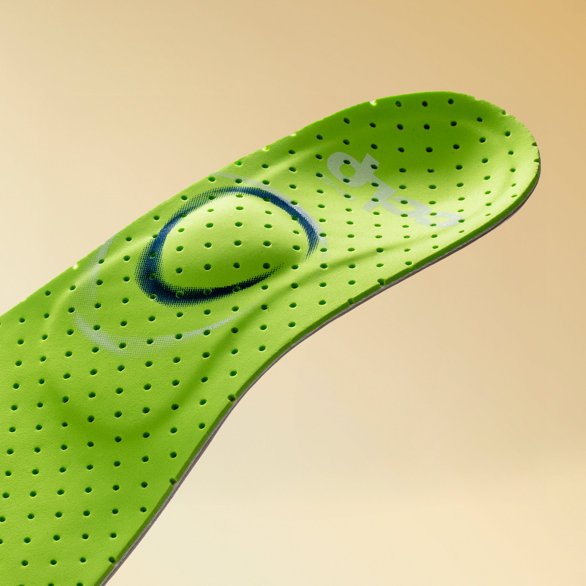 カルパワースノーボード カーボン6