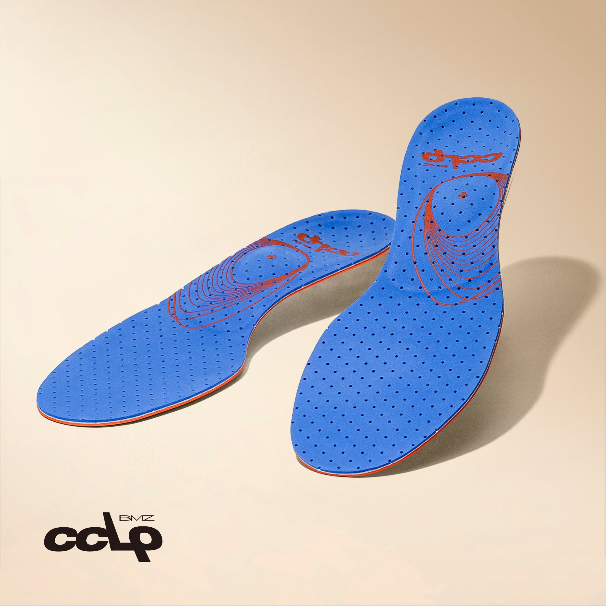 カーボンプロスノー50 C-6