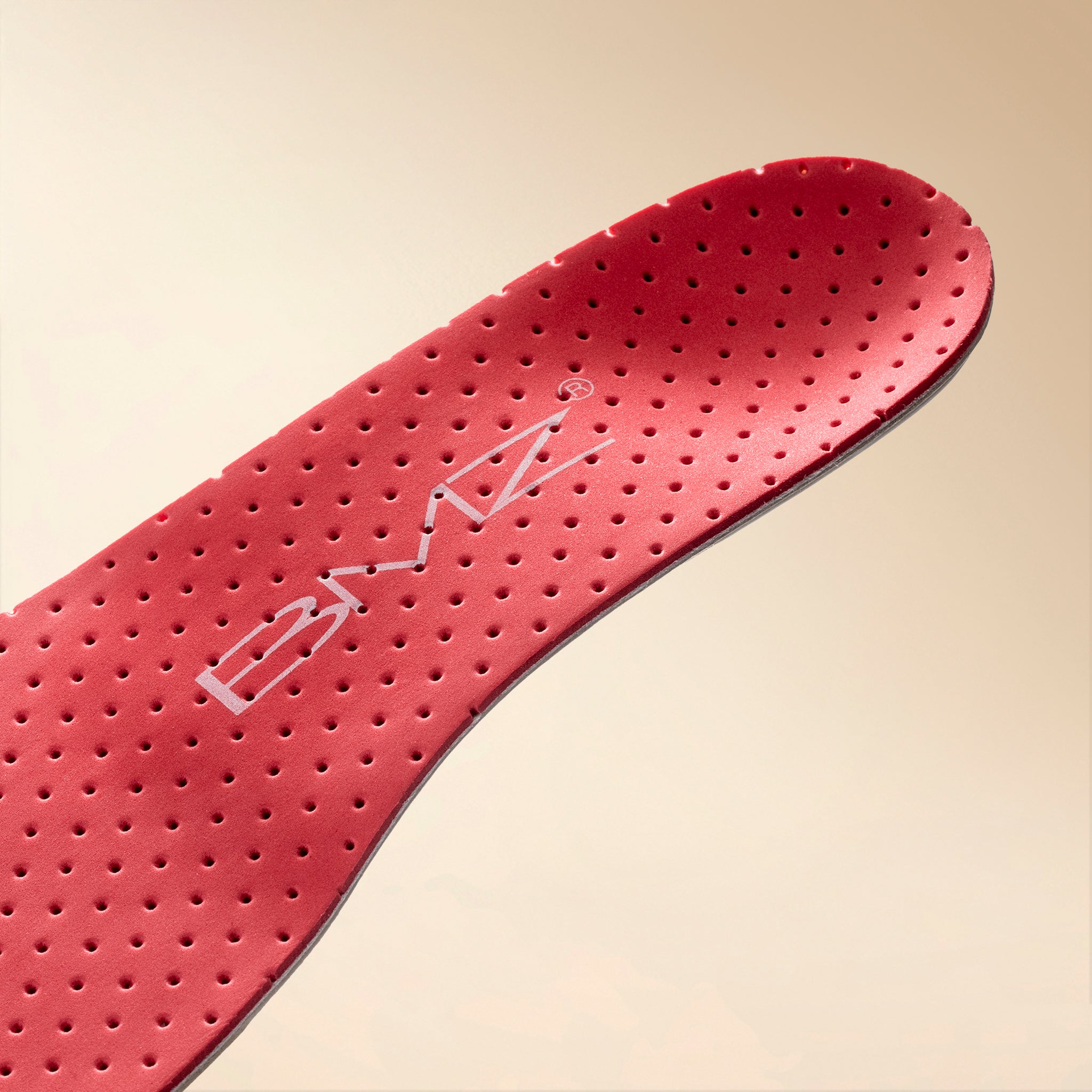 キュボイドパワースキーR