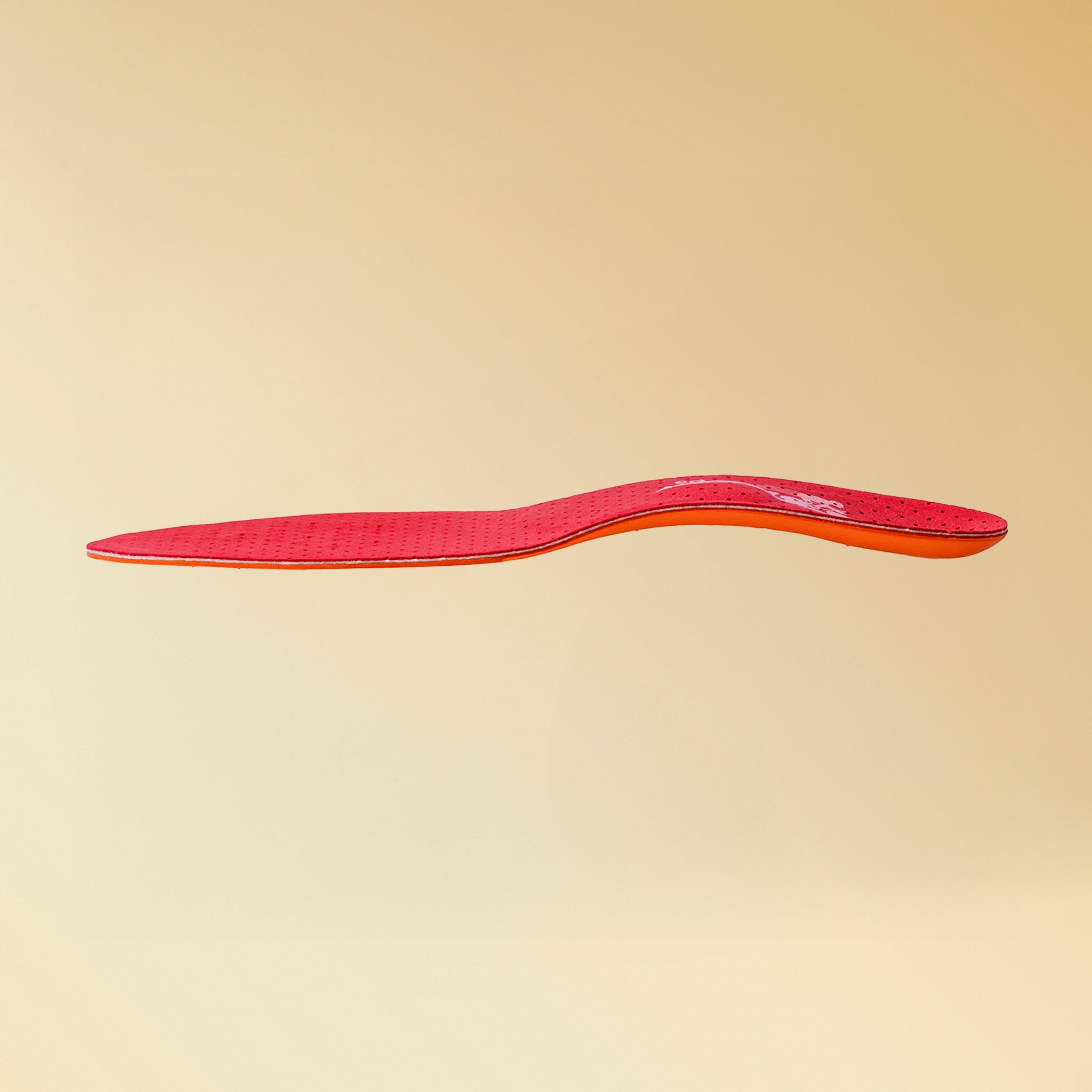 CCLPロードレーサープロ６