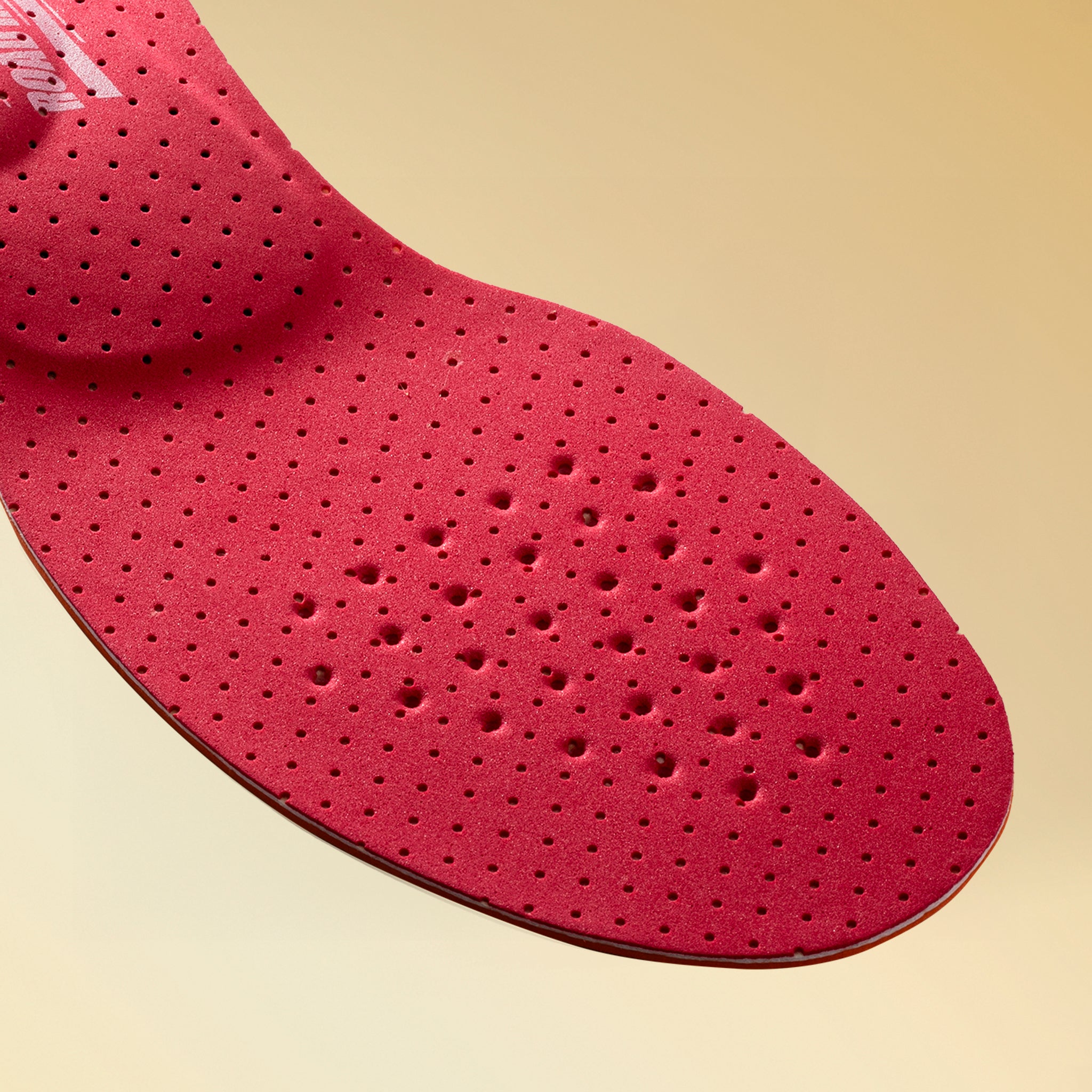 CCLPロードレーサープロ６