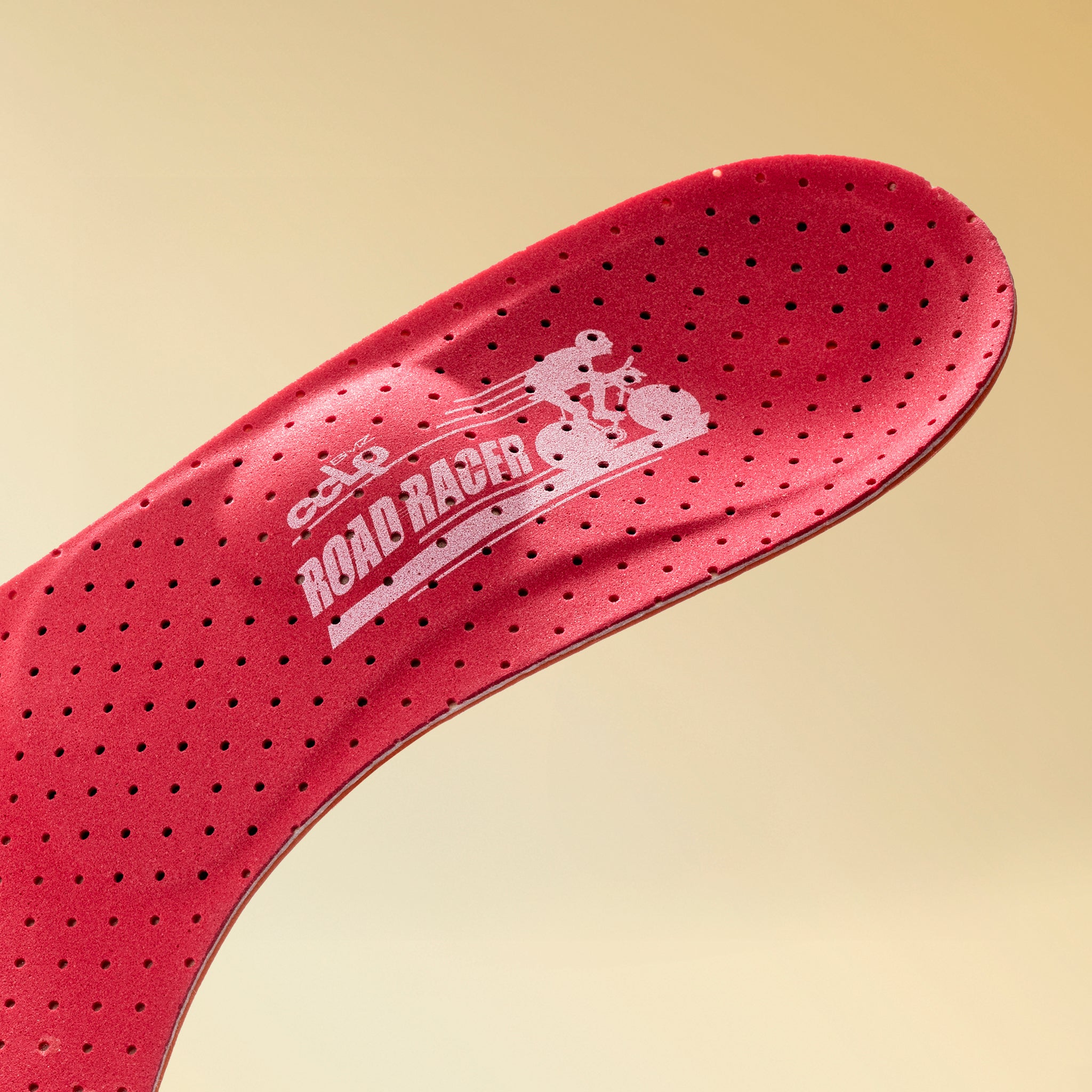 CCLPロードレーサープロ６