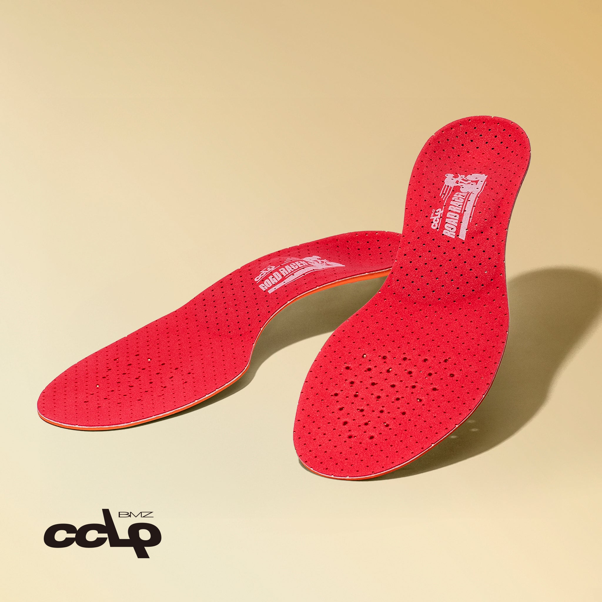 CCLPロードレーサープロ３