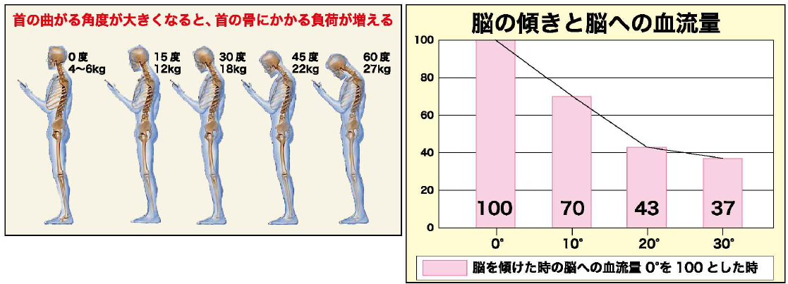 自然にボディバランスを整え、活動的な生活をサポート。