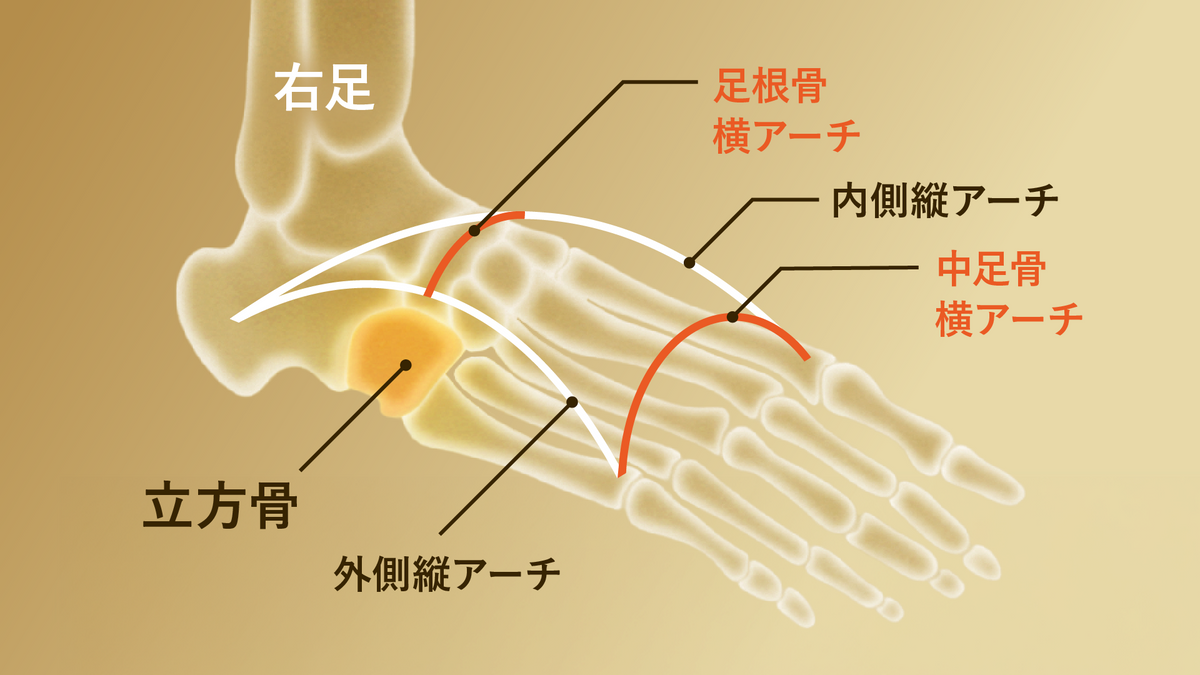 キュボイドバランス理論