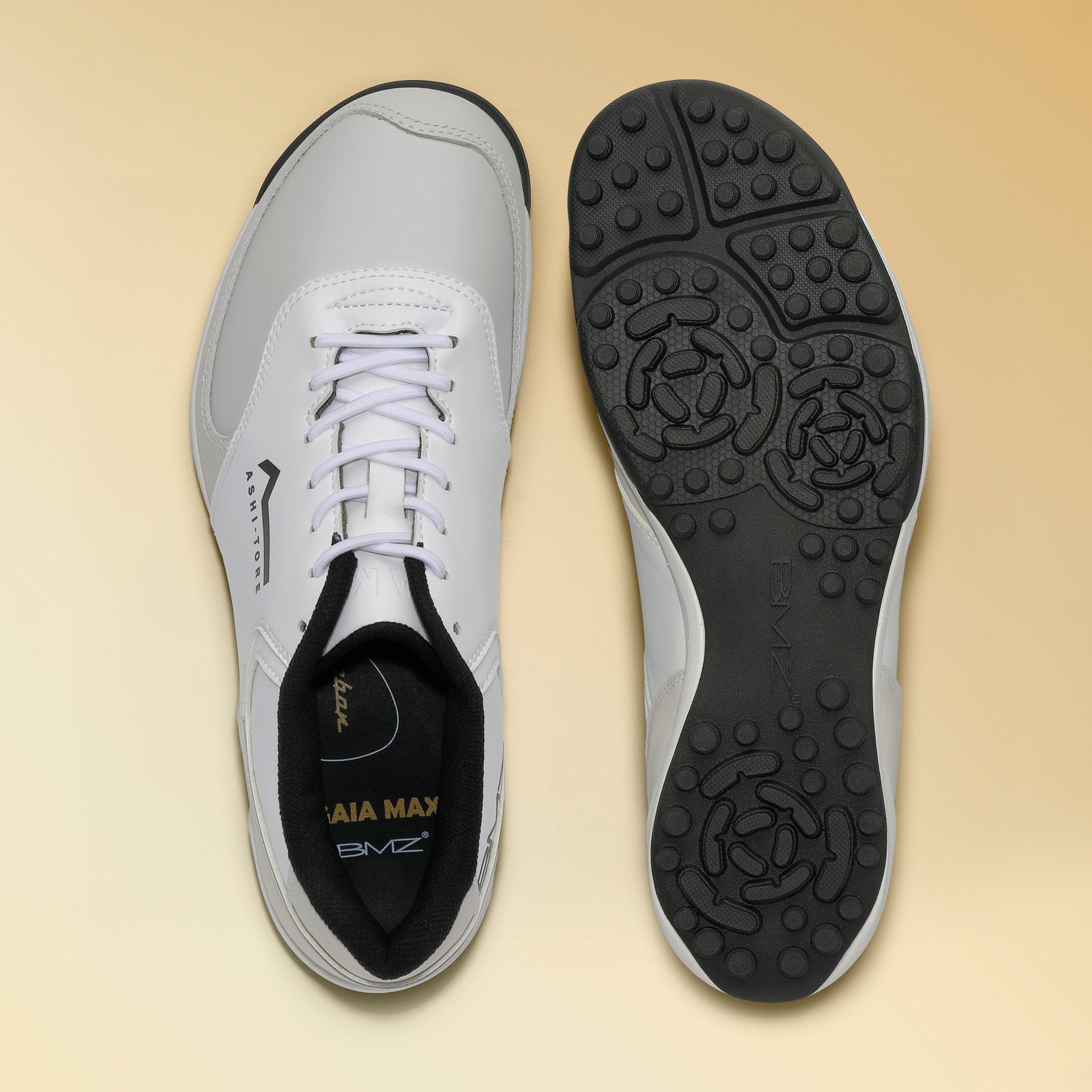 GAIA MAX PRO セミオーダー