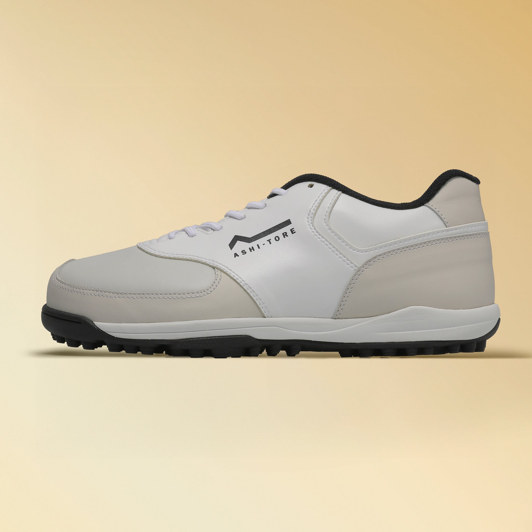 GAIA MAX PRO セミオーダー