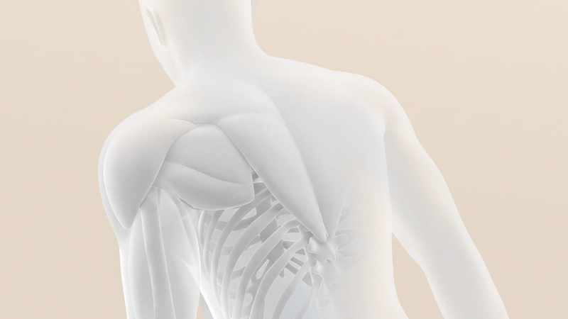 共同研究とエビデンスに基づく開発力